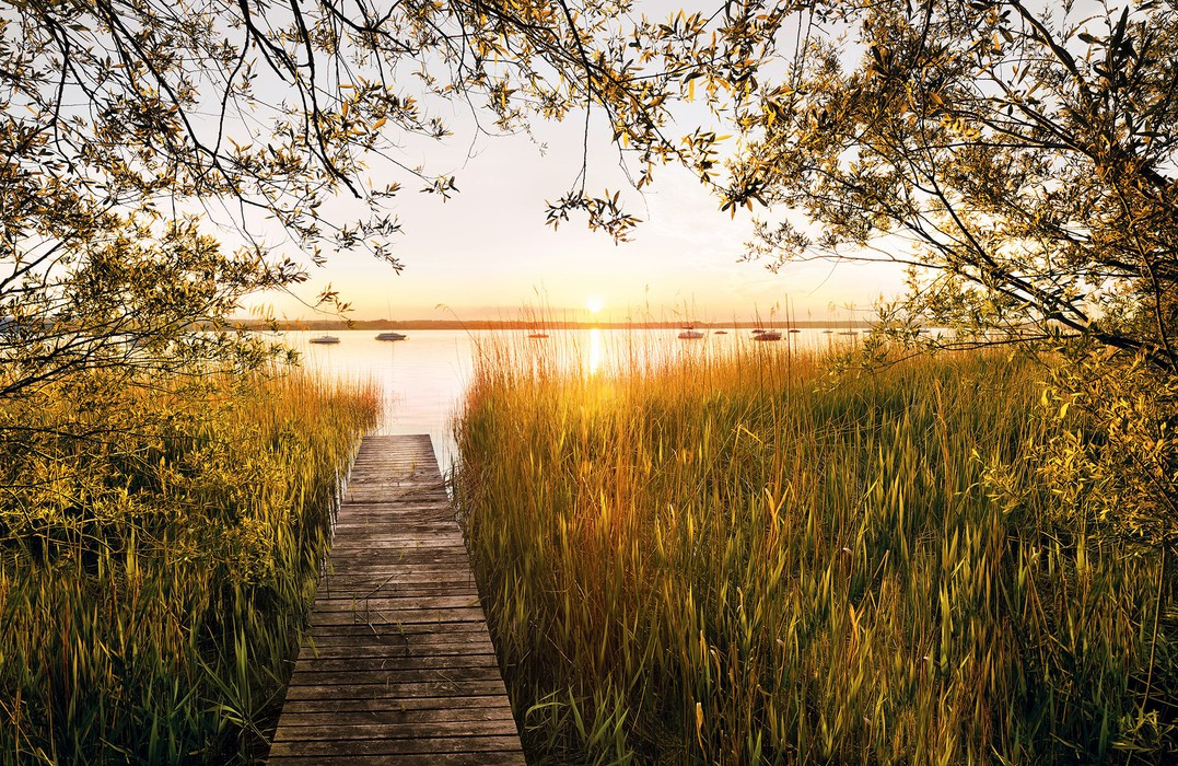 Lakeside