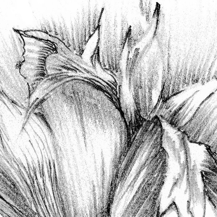 Embroidery