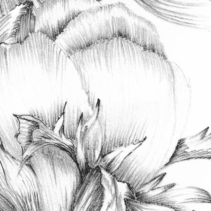 Embroidery