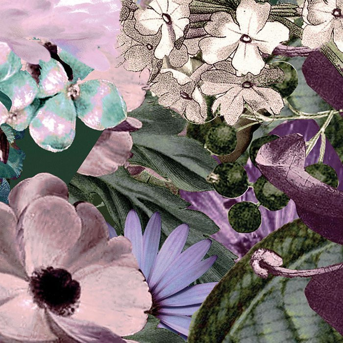 Botanica