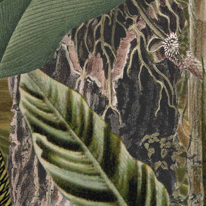Amazonia