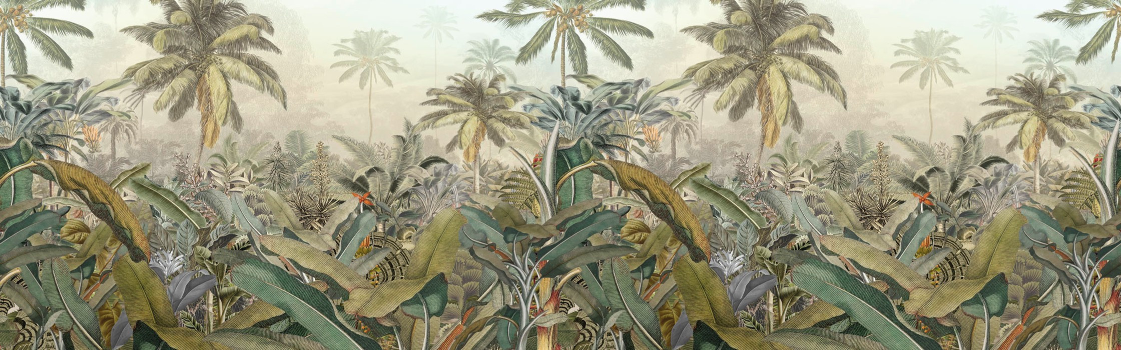 Amazonia