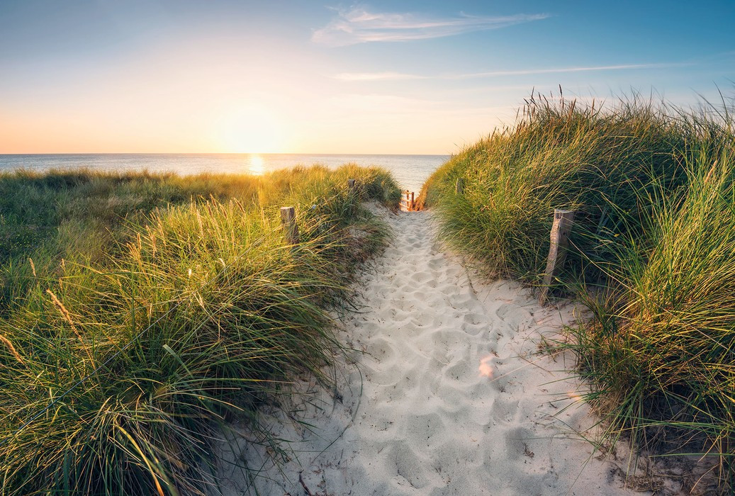 Way to the Beach