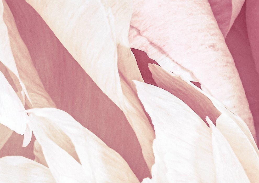 Peonies