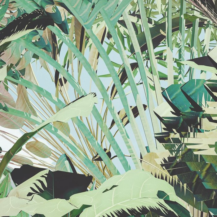 Tropical Heaven