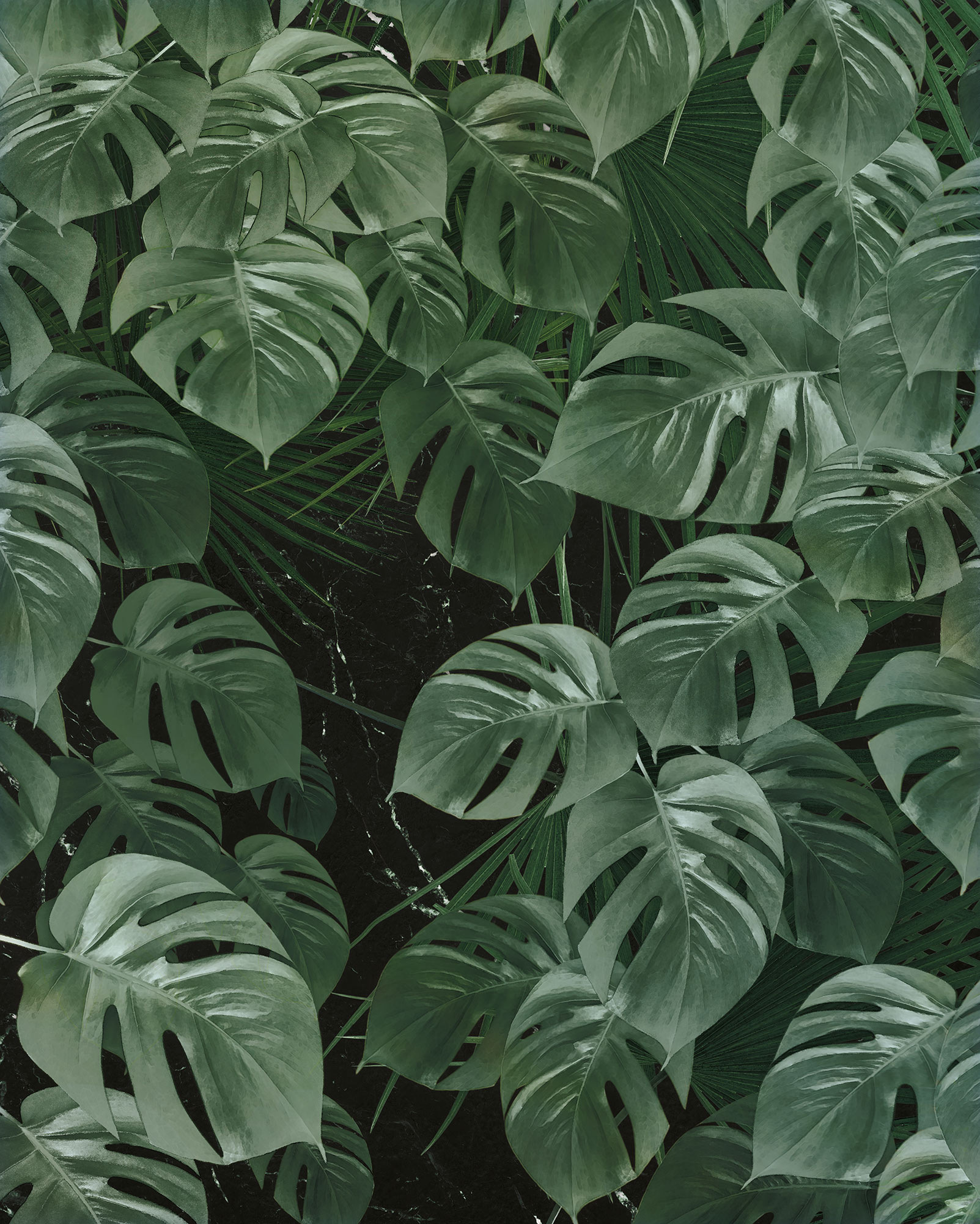 Monstera on Marble - Dschungelblatt Design Tapete | Fototapete.de