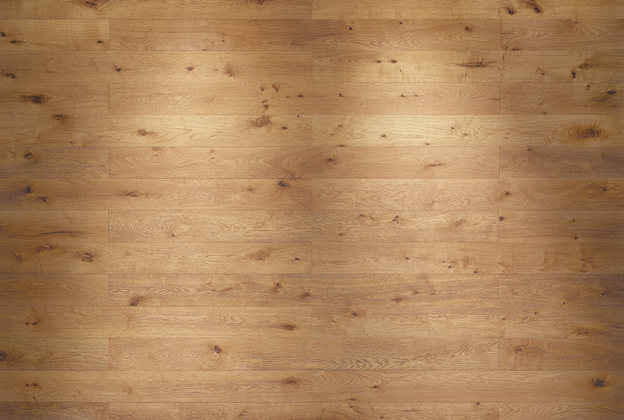 Vliestapete Oak Von Komar Fototapete De