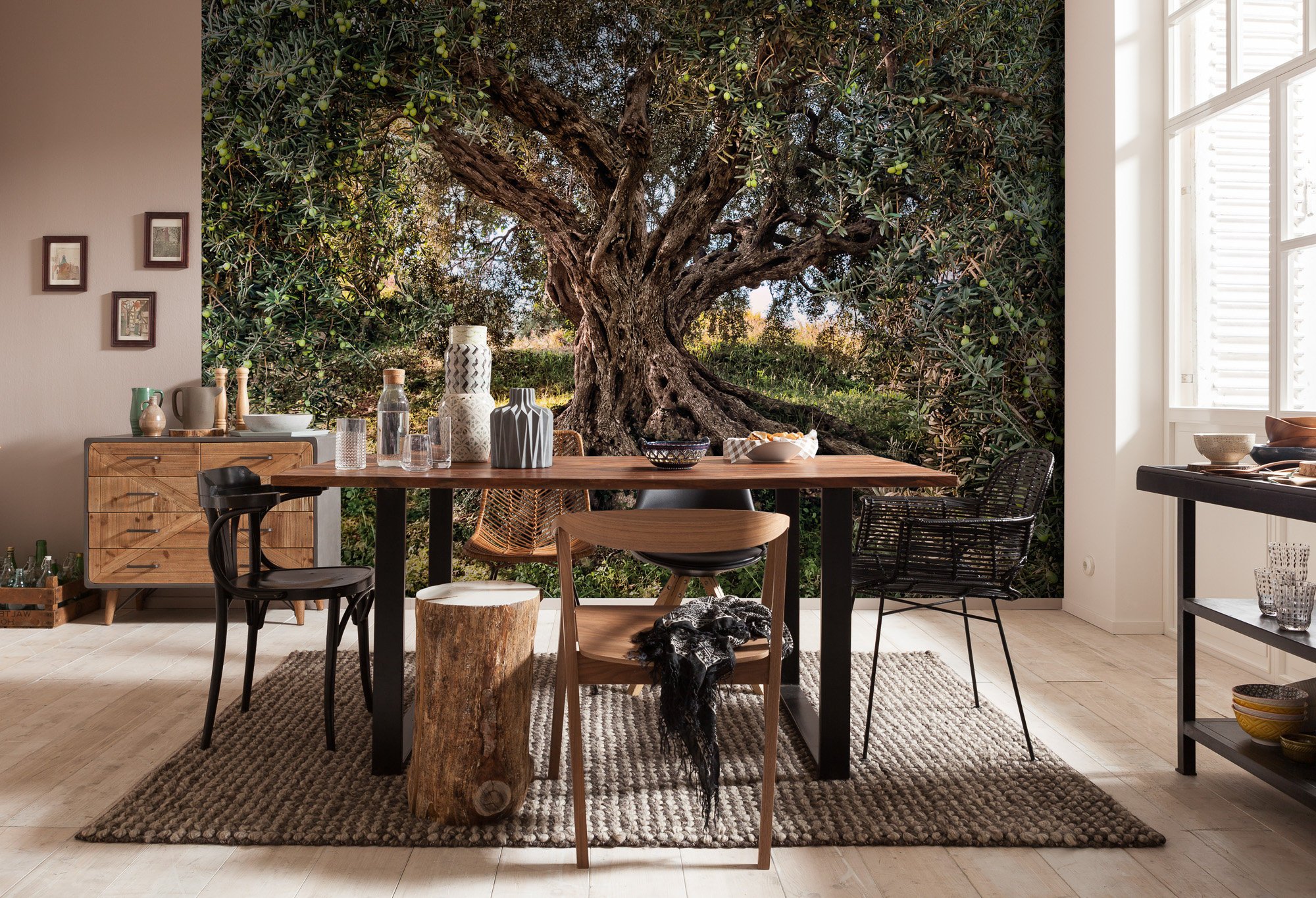 Kitchen with olive tree