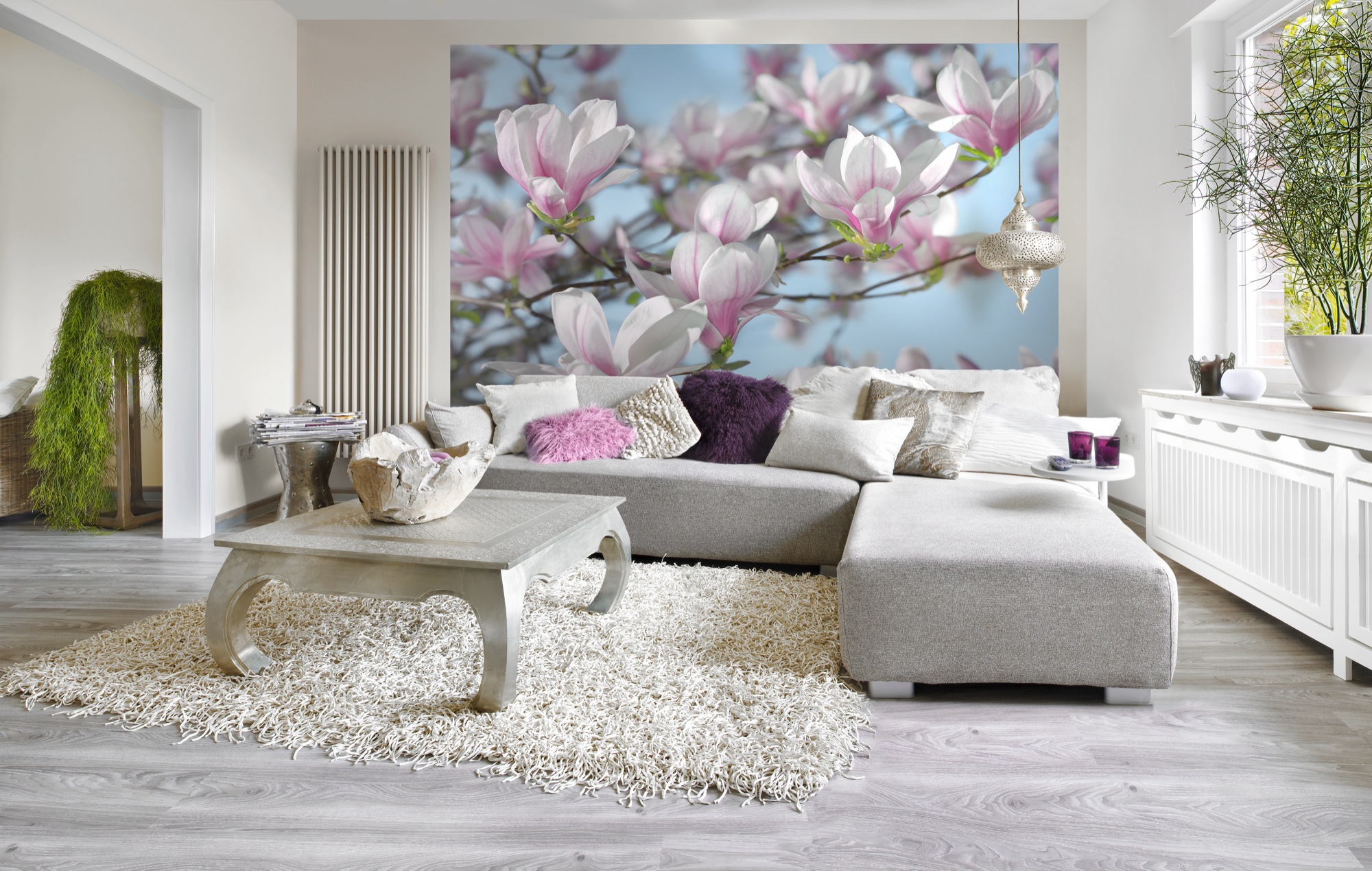 Magnolia Magnolia