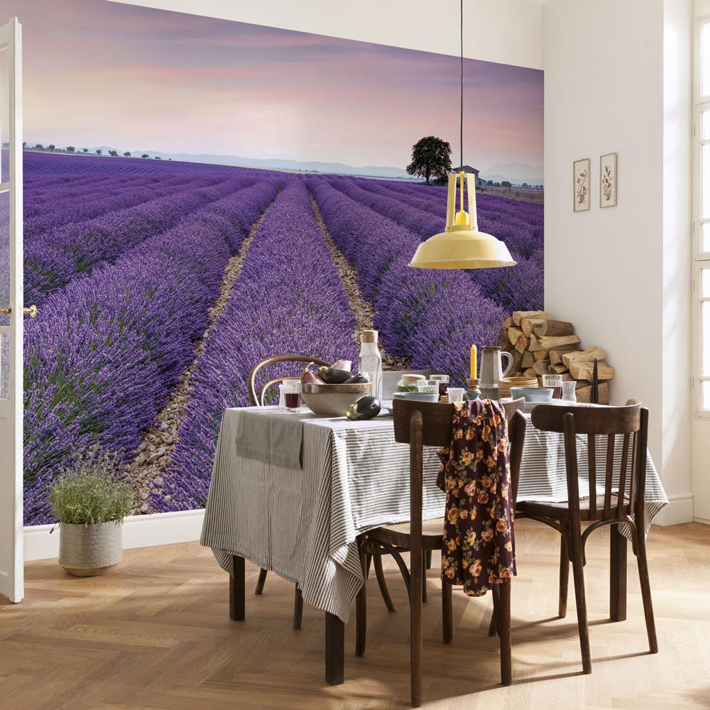 Provence Provence